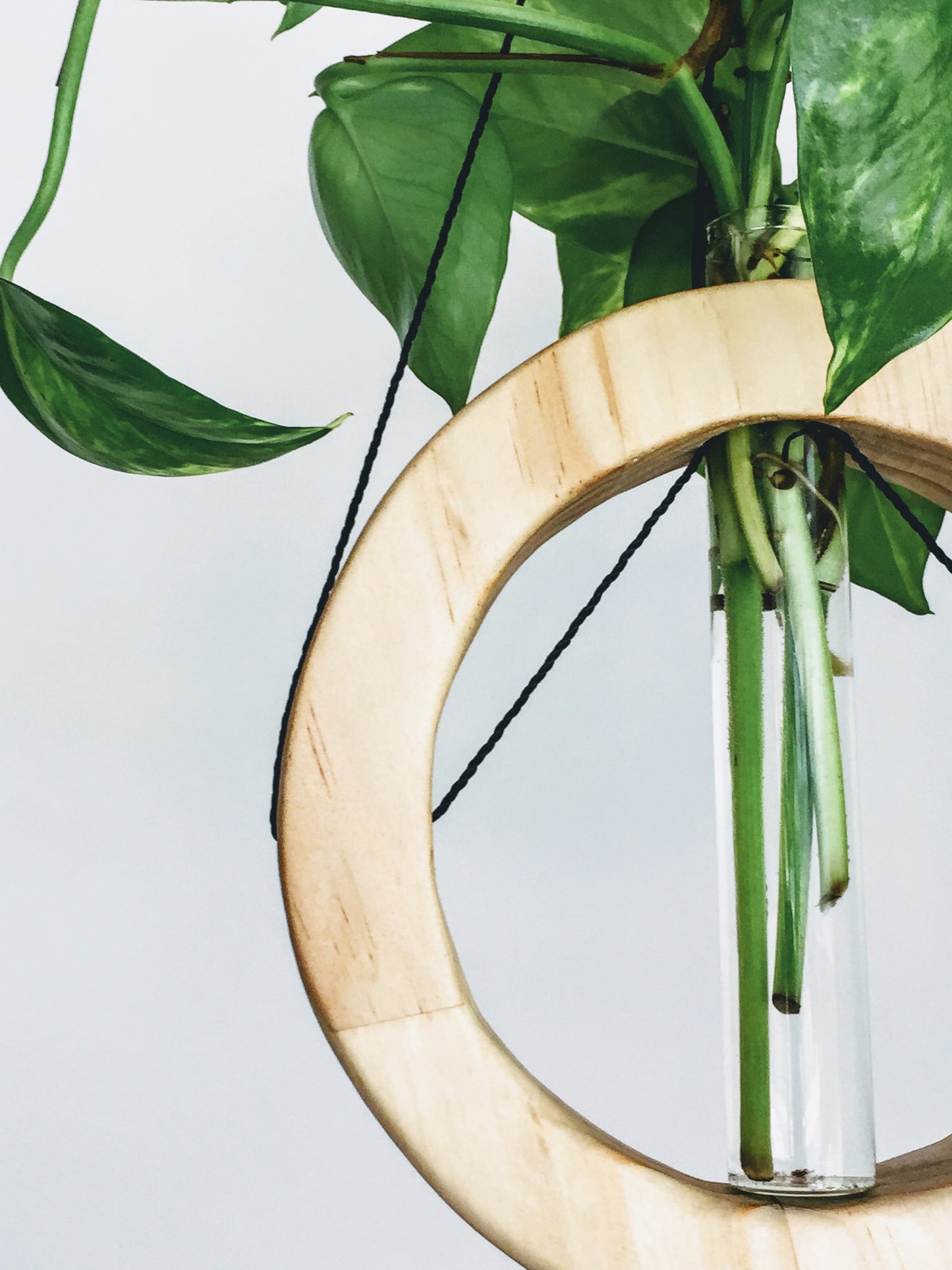 Mobile/wall planter in natural finish