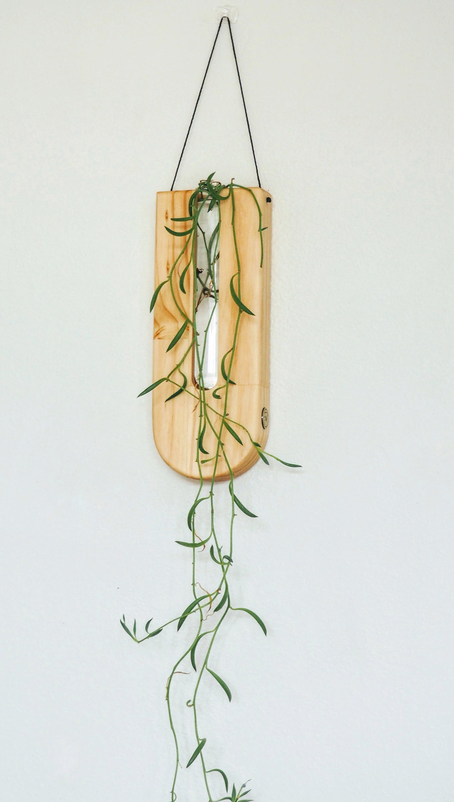 The drops wall planters