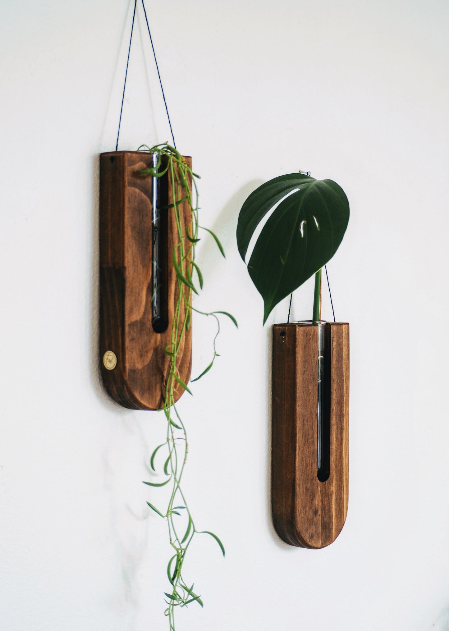 The drops wall planters