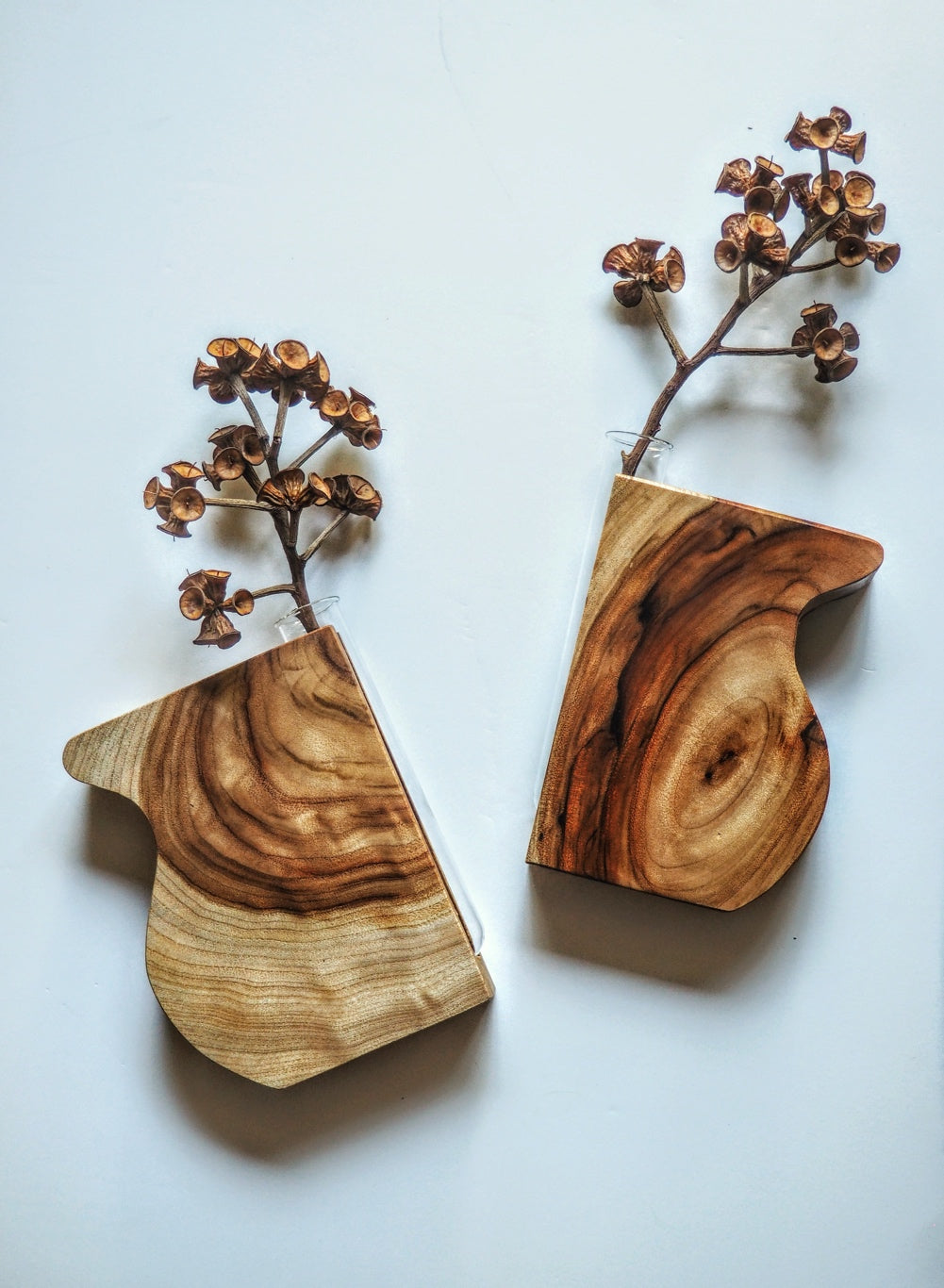 Butterfly wing vase