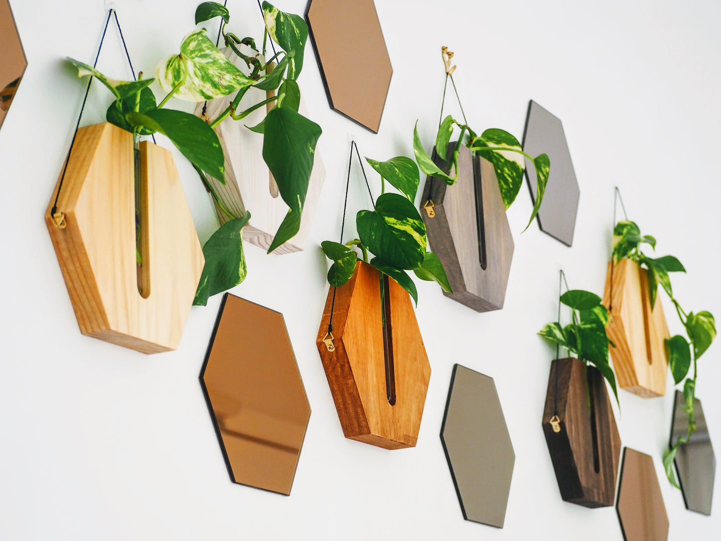 Honeycombs wall planters