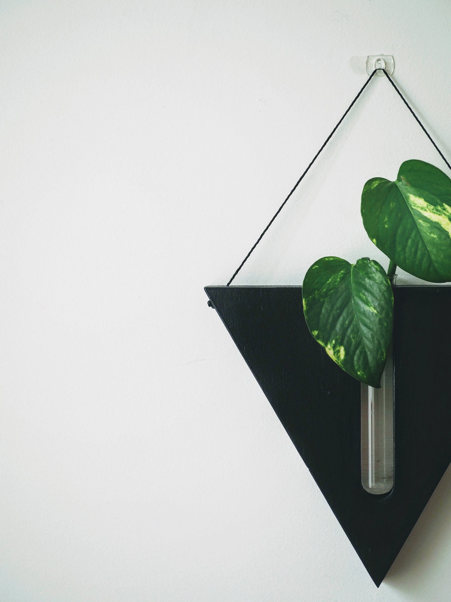 Triangular Wall planters