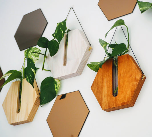 Honeycombs wall planters