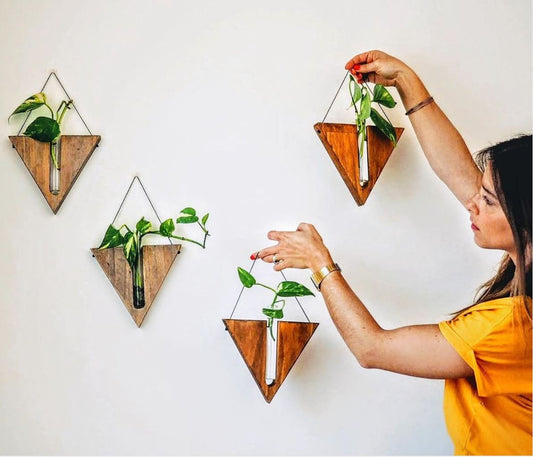 Triangular Wall planters