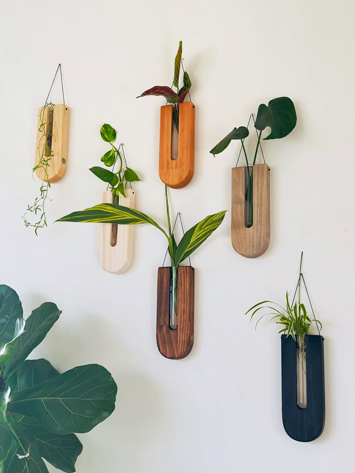 The drops wall planters