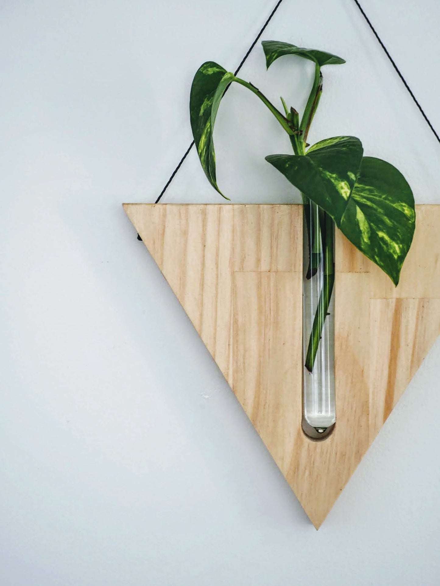 Triangular Wall planters