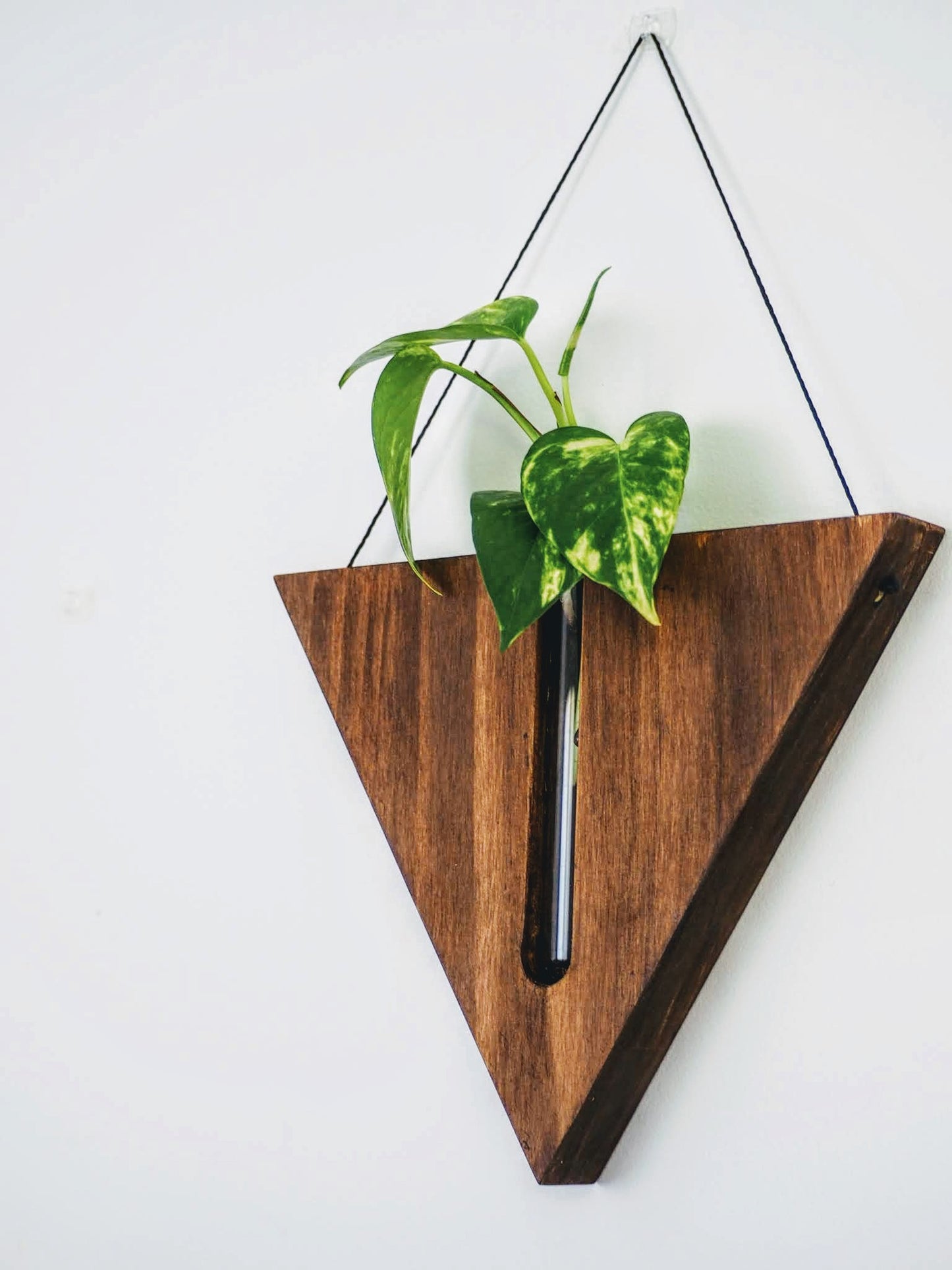 Triangular Wall planters