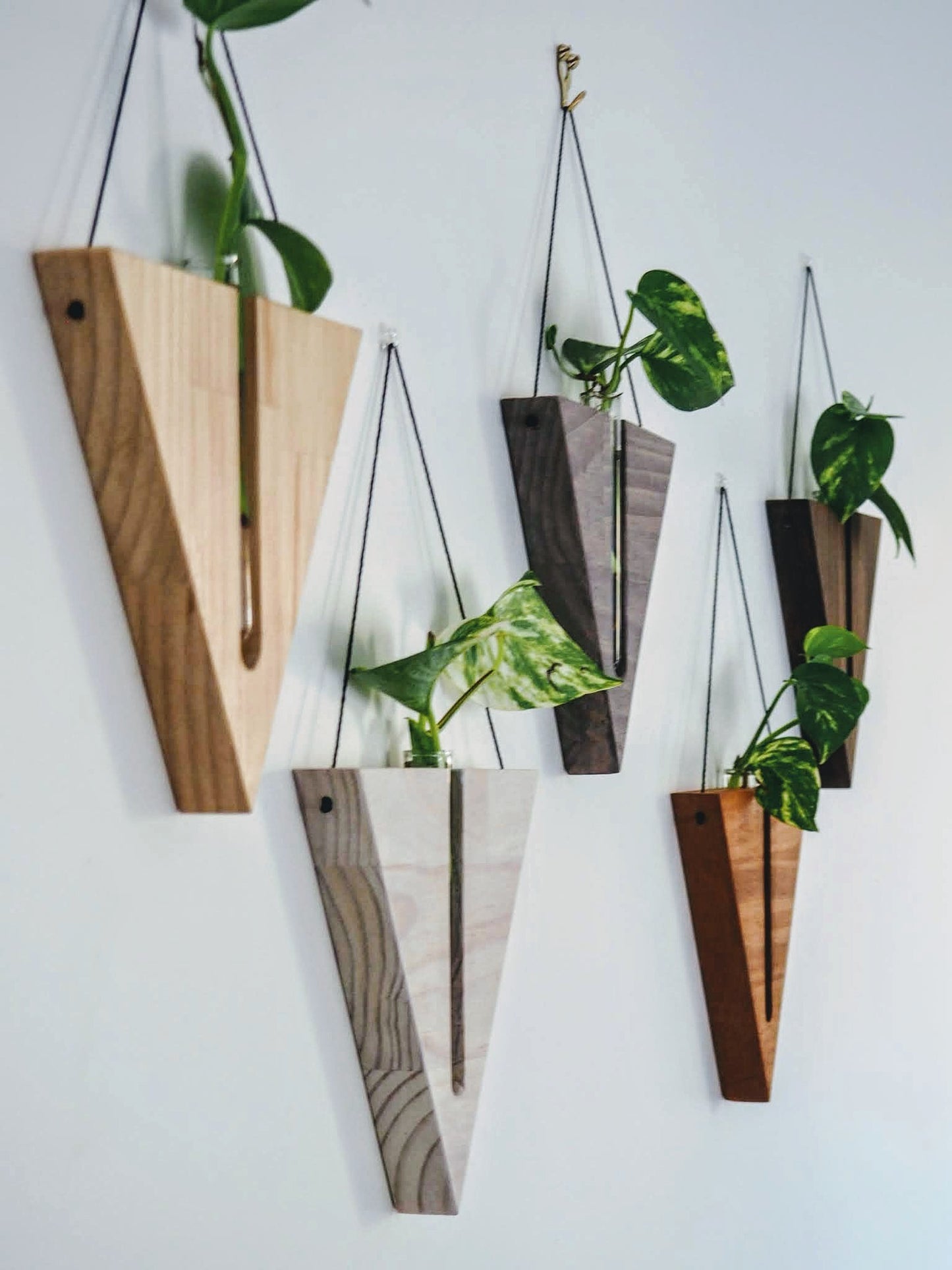 Triangular Wall planters