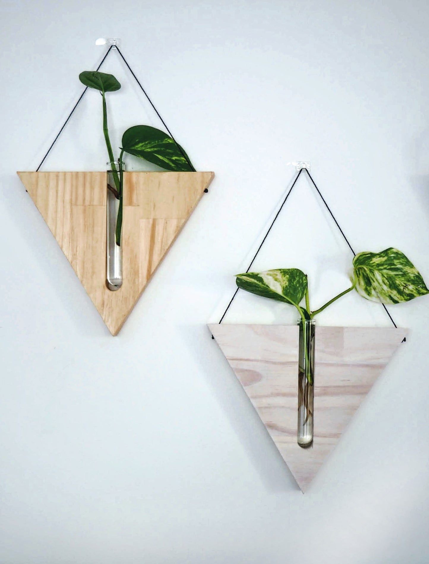 Triangular Wall planters