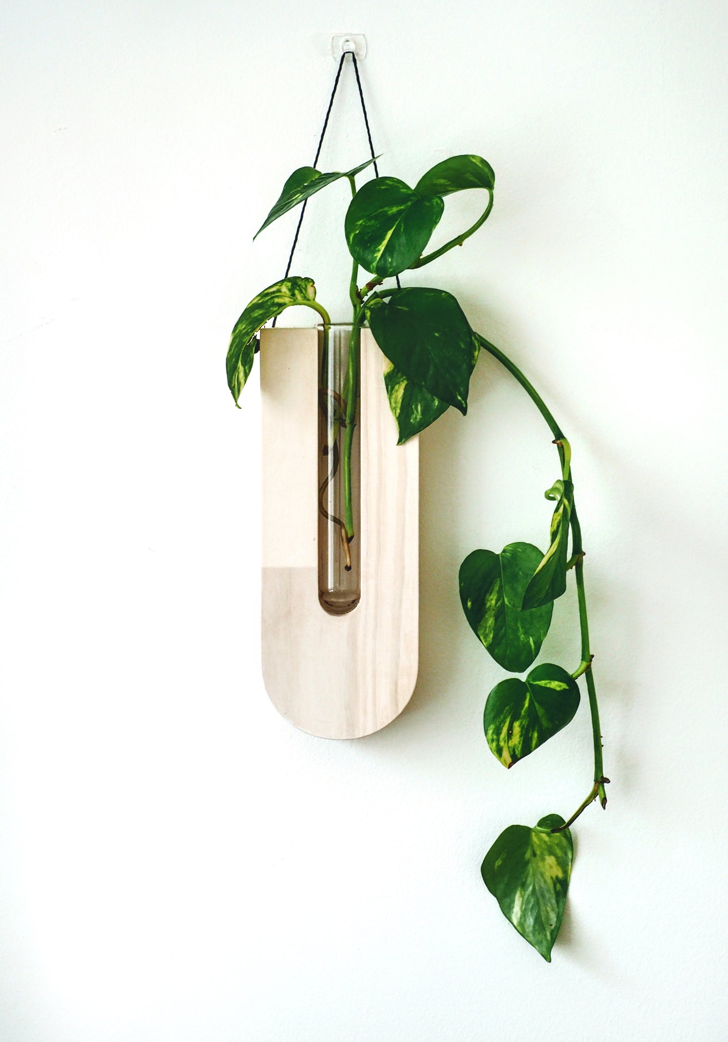 The drops wall planters