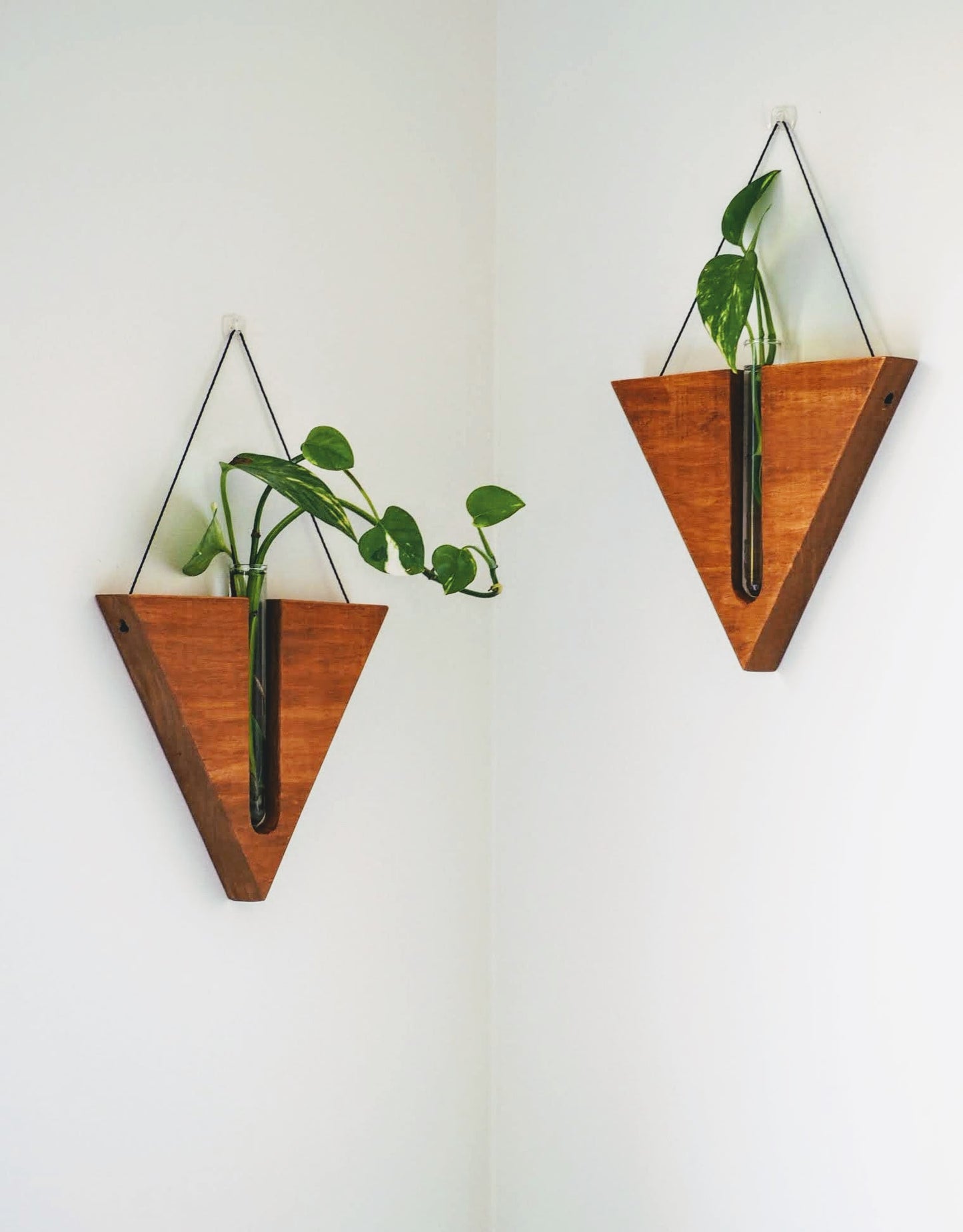 Triangular Wall planters