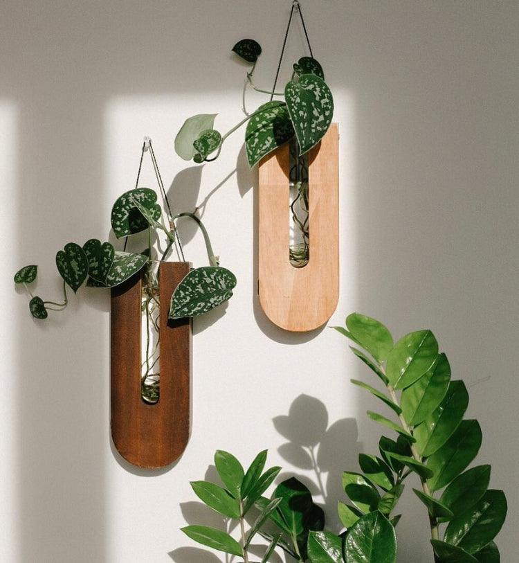 The drops wall planters