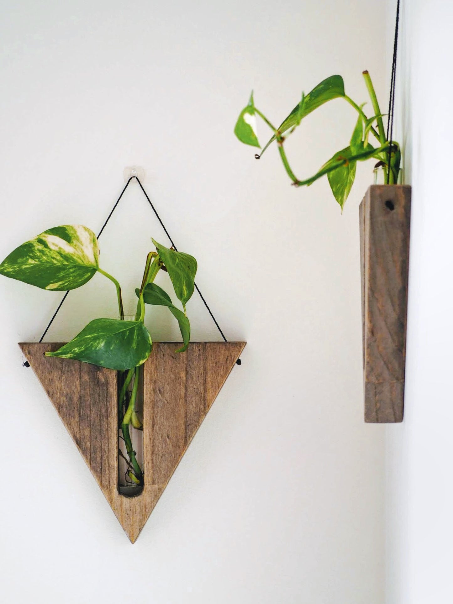 Triangular Wall planters